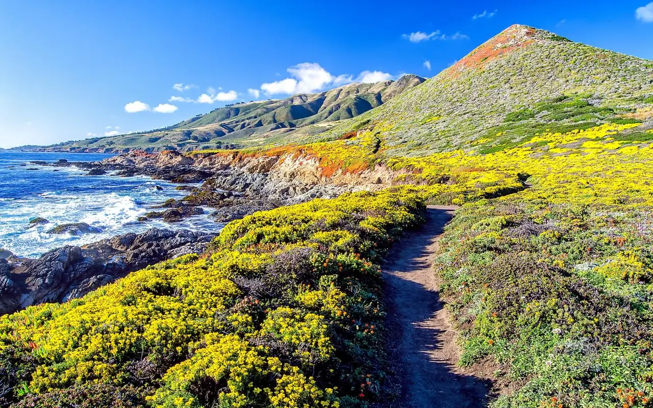 高性能数字化电子